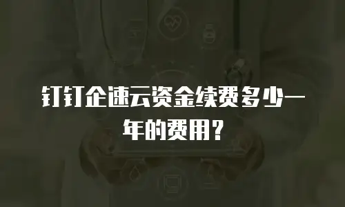 钉钉企速云资金续费多少一年的费用？