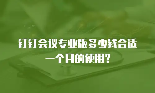 钉钉会议专业版多少钱合适一个月的使用？