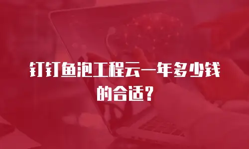 钉钉鱼泡工程云一年多少钱的合适？