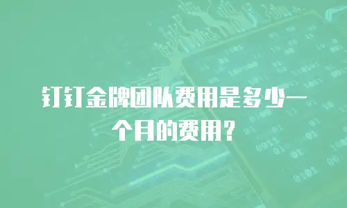 钉钉金牌团队费用是多少一个月的费用？