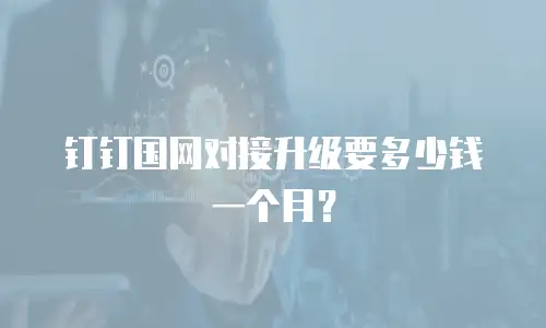 钉钉国网对接升级要多少钱一个月？