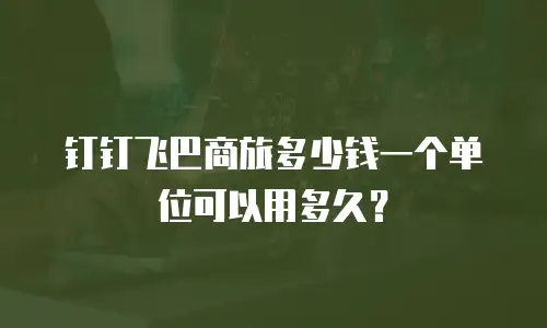 钉钉飞巴商旅多少钱一个单位可以用多久？
