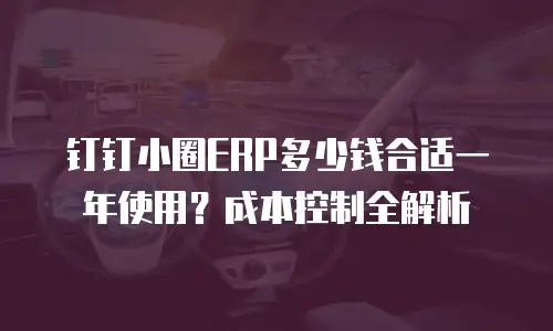 钉钉小圈ERP多少钱合适一年使用？成本控制全解析