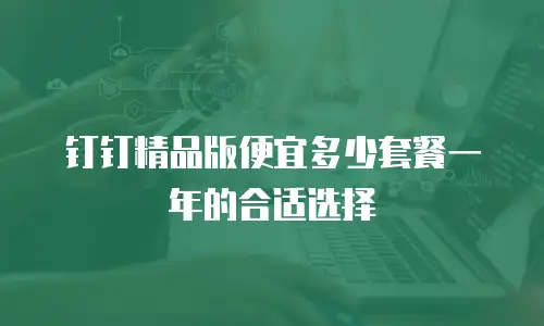 钉钉精品版便宜多少套餐一年的合适选择