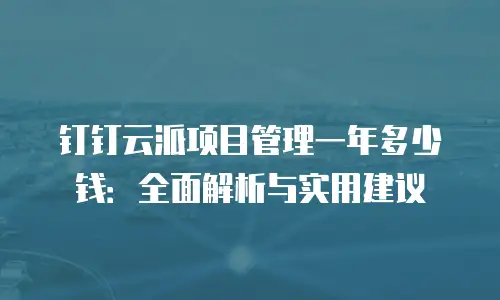钉钉云派项目管理一年多少钱：全面解析与实用建议