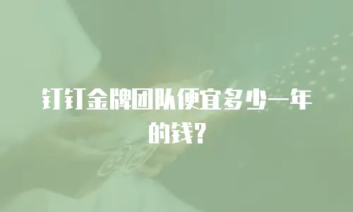 钉钉金牌团队便宜多少一年的钱？