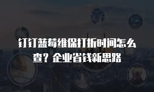 钉钉蓝莓维保打折时间怎么查？企业省钱新思路