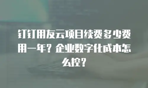 钉钉用友云项目续费多少费用一年？企业数字化成本怎么控？