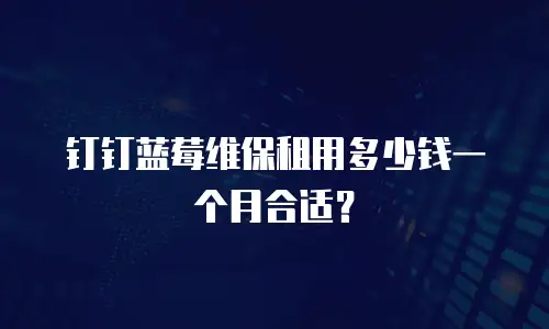 钉钉蓝莓维保租用多少钱一个月合适？