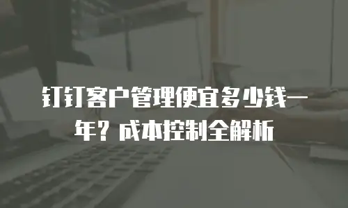钉钉客户管理便宜多少钱一年？成本控制全解析