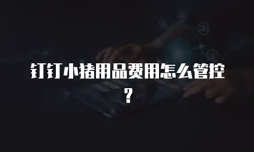钉钉小猪用品费用怎么管控？