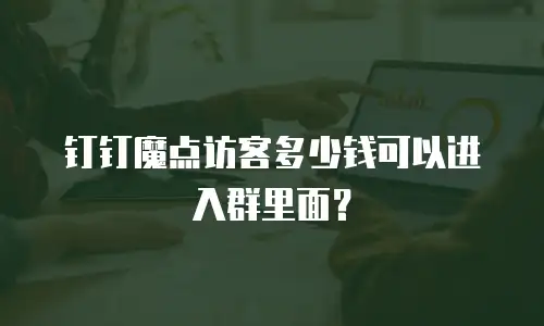 钉钉魔点访客多少钱可以进入群里面？