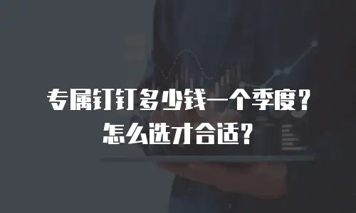 专属钉钉多少钱一个季度？怎么选才合适？