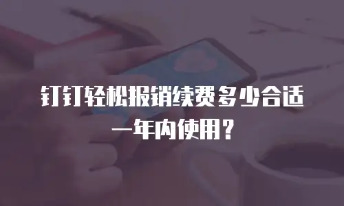 钉钉轻松报销续费多少合适一年内使用？
