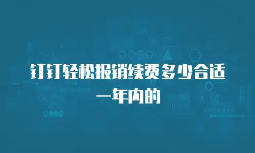 钉钉轻松报销续费多少合适一年内的