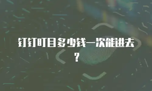 钉钉盯目多少钱一次能进去？