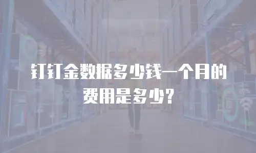 钉钉金数据多少钱一个月的费用是多少？