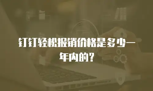 钉钉轻松报销价格是多少一年内的？