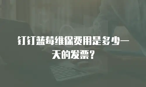 钉钉蓝莓维保费用是多少一天的发票？