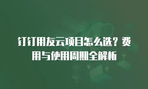 钉钉用友云项目怎么选？费用与使用周期全解析
