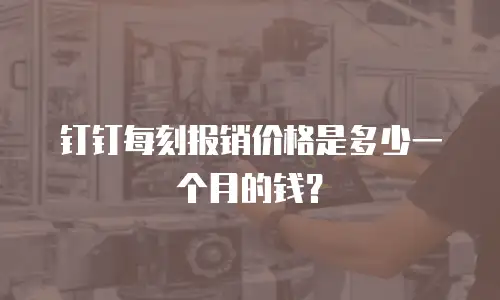 钉钉每刻报销价格是多少一个月的钱？