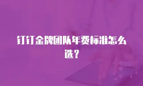 钉钉金牌团队年费标准怎么选？