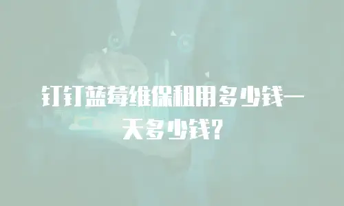 钉钉蓝莓维保租用多少钱一天多少钱？