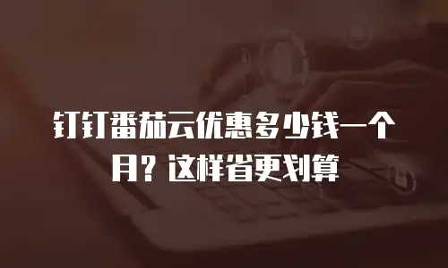 钉钉番茄云优惠多少钱一个月？这样省更划算