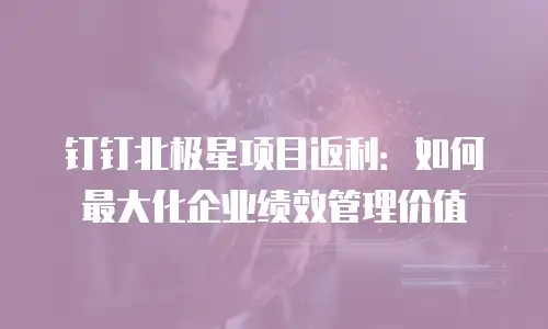 钉钉北极星项目返利：如何最大化企业绩效管理价值