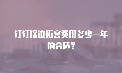 钉钉探迹拓客费用多少一年的合适？