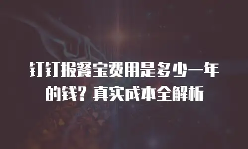 钉钉报餐宝费用是多少一年的钱？真实成本全解析