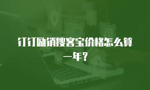 钉钉励销搜客宝价格怎么算一年？