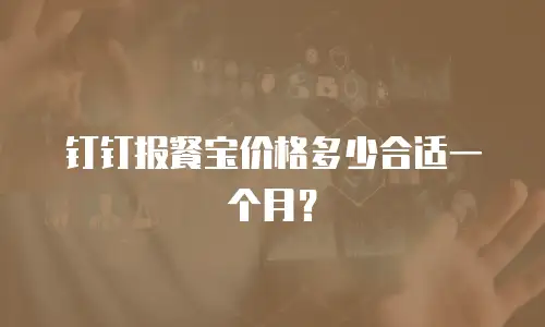 钉钉报餐宝价格多少合适一个月？