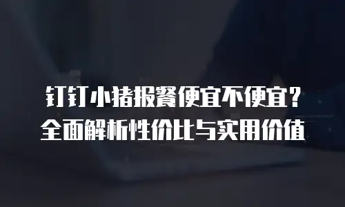 钉钉小猪报餐便宜不便宜？全面解析性价比与实用价值