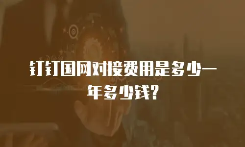 钉钉国网对接费用是多少一年多少钱？