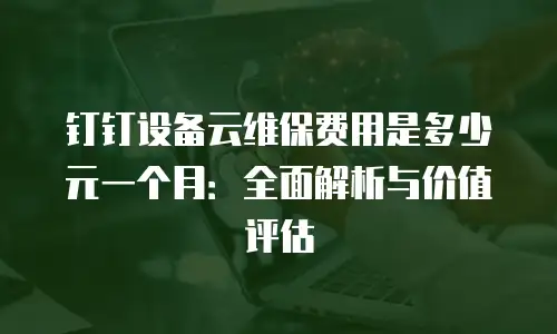 钉钉设备云维保费用是多少元一个月：全面解析与价值评估