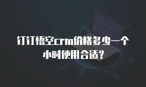 钉钉悟空crm价格多少一个小时使用合适？