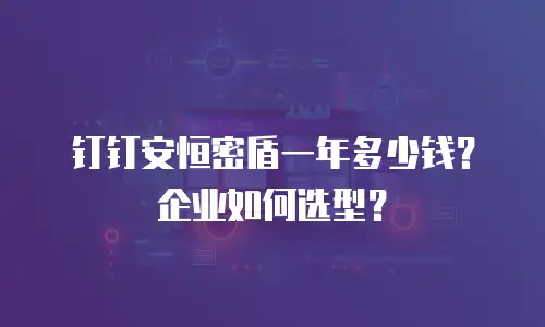 钉钉安恒密盾一年多少钱？企业如何选型？