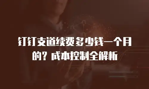 钉钉支道续费多少钱一个月的？成本控制全解析