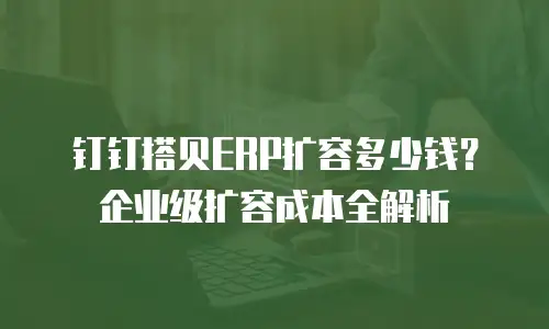 钉钉搭贝ERP扩容多少钱？企业级扩容成本全解析