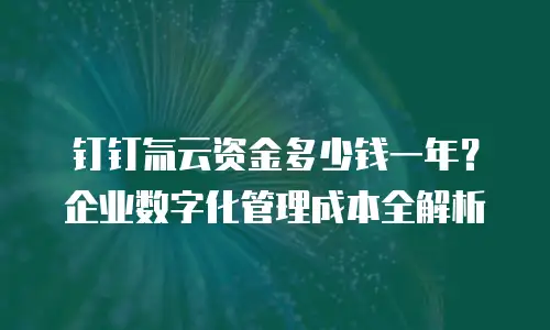 钉钉氚云资金多少钱一年？企业数字化管理成本全解析