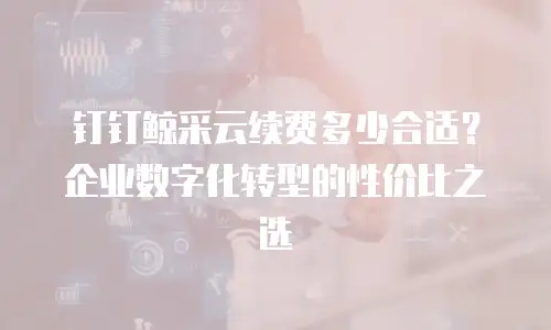 钉钉鲸采云续费多少合适？企业数字化转型的性价比之选