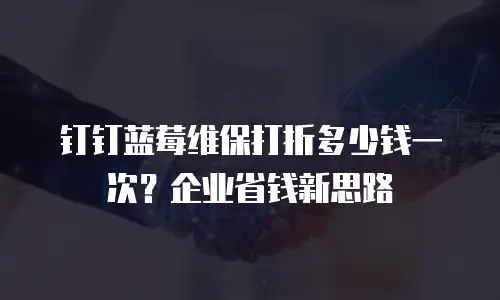 钉钉蓝莓维保打折多少钱一次？企业省钱新思路