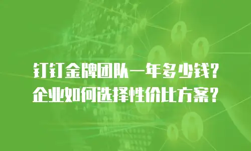 钉钉金牌团队一年多少钱？企业如何选择性价比方案？