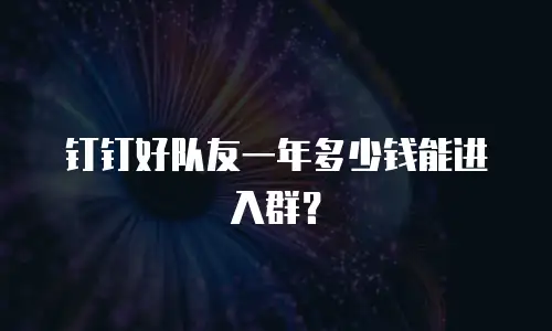 钉钉好队友一年多少钱能进入群？