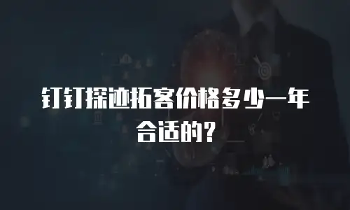 钉钉探迹拓客价格多少一年合适的？