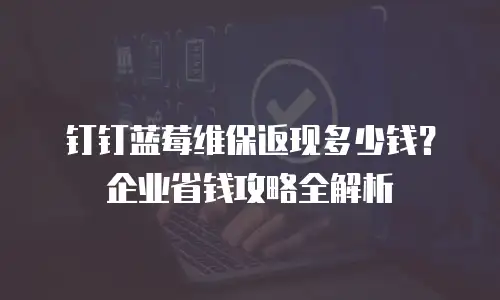 钉钉蓝莓维保返现多少钱？企业省钱攻略全解析
