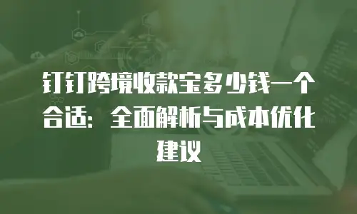 钉钉跨境收款宝多少钱一个合适：全面解析与成本优化建议