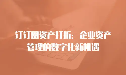 钉钉圆资产打折：企业资产管理的数字化新机遇