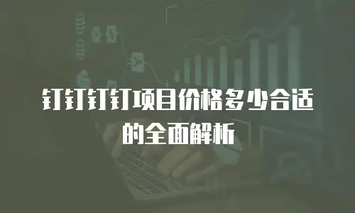 钉钉钉钉项目价格多少合适的全面解析